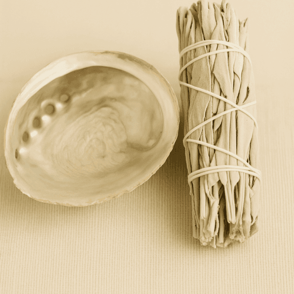 Sauge & Coquillage